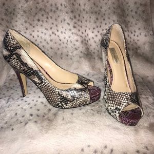 Steve Madden Snakeskin heel